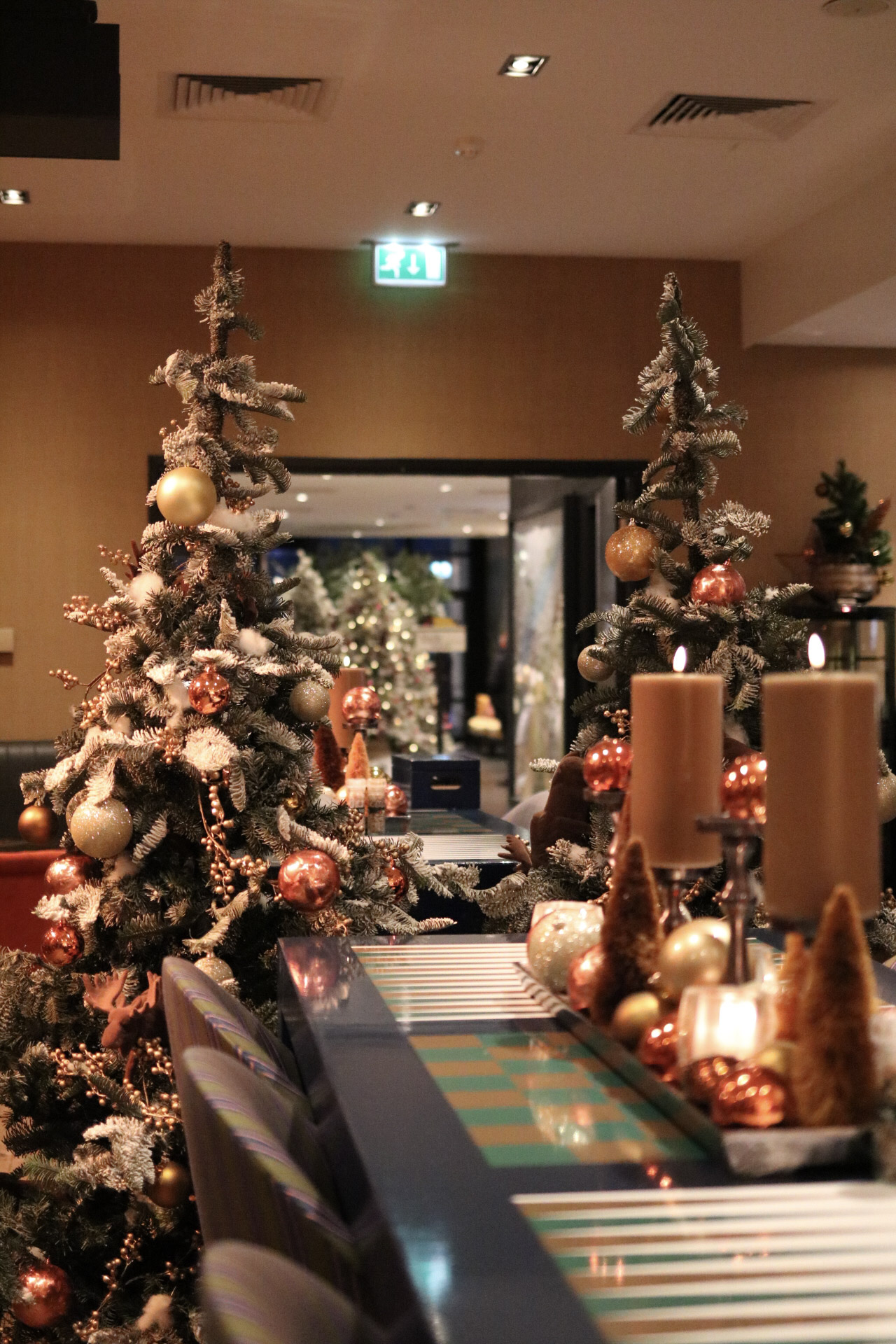 Hotel Harderwijk op de Veluwe - Sparkling X-Mas 2-daags