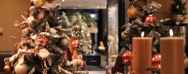 Hotel Harderwijk op de Veluwe - Sparkling X-Mas 2-daags Hotel Harderwijk op de Veluwe - Sparkling X-Mas 2-daags