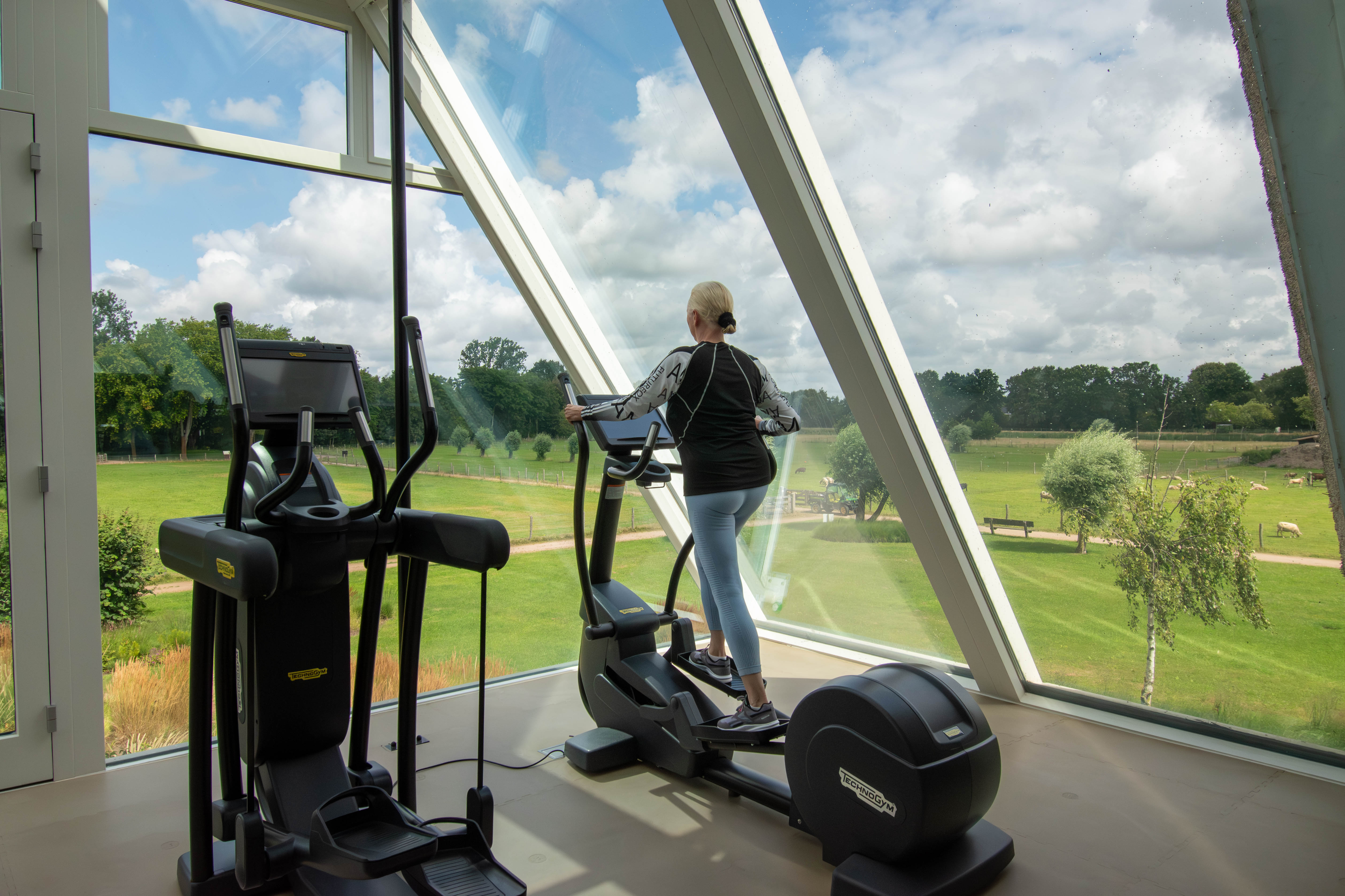 IVY's fitness