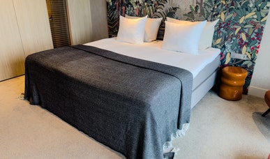Comfort Plus King Room Comfort Plus King Room