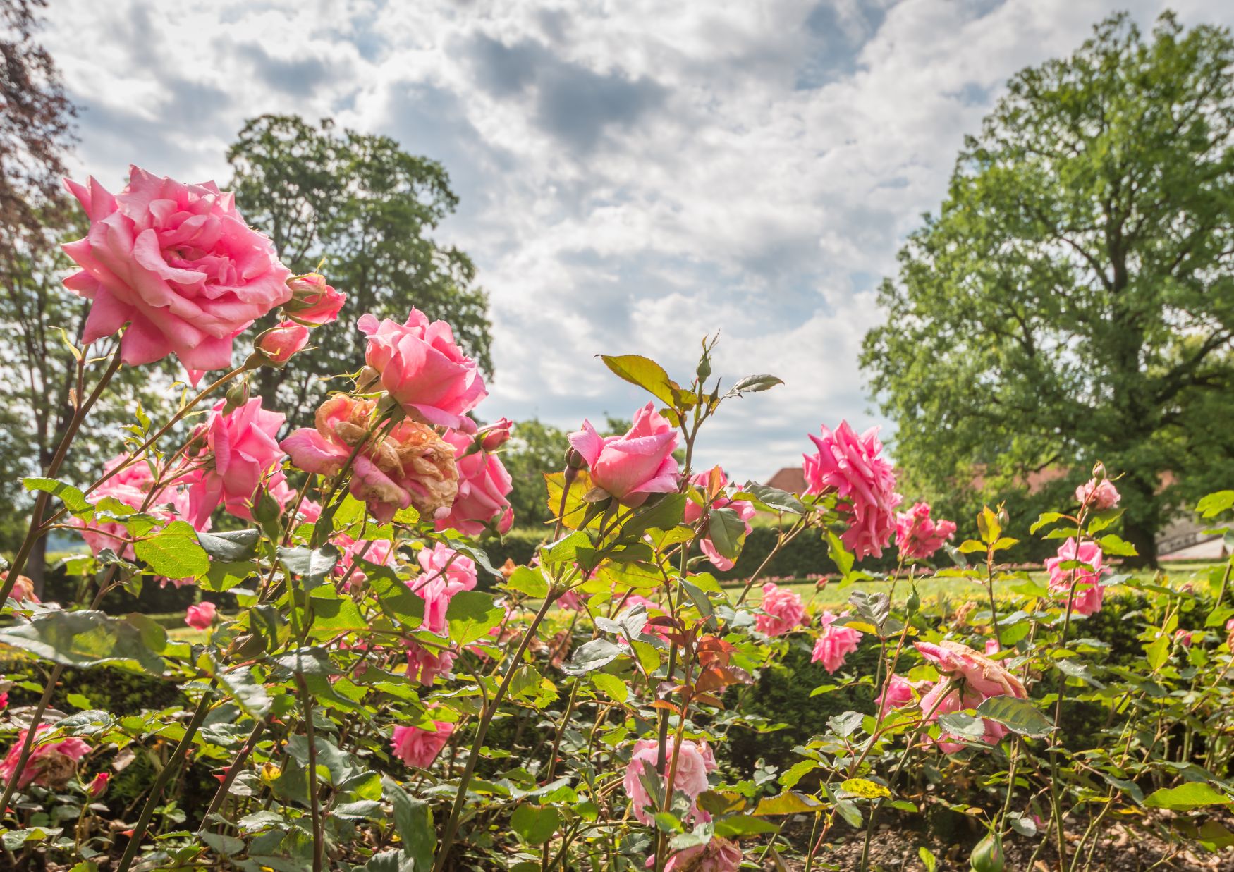 Amstelpark