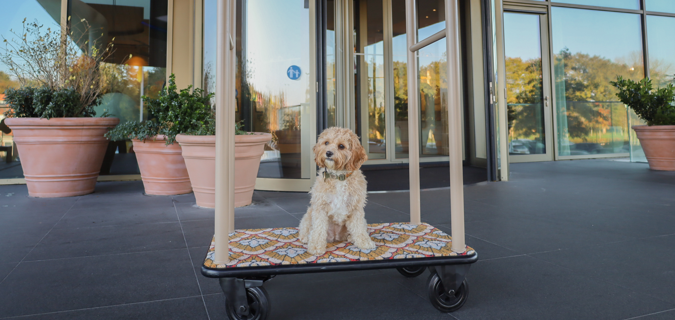 Overnachten met hond