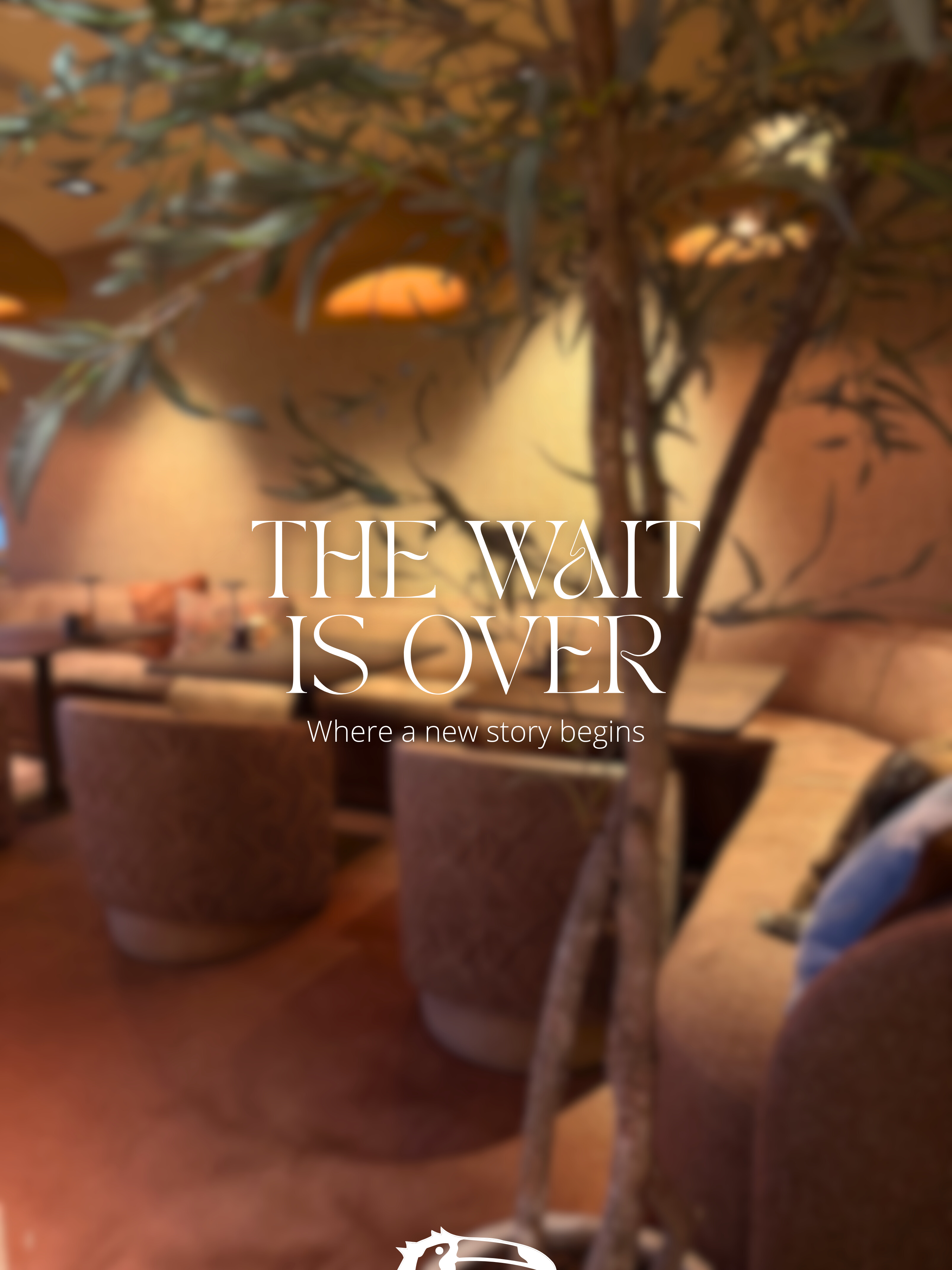 Where a new story begins