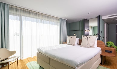 Deluxe+ room Deluxe+ room