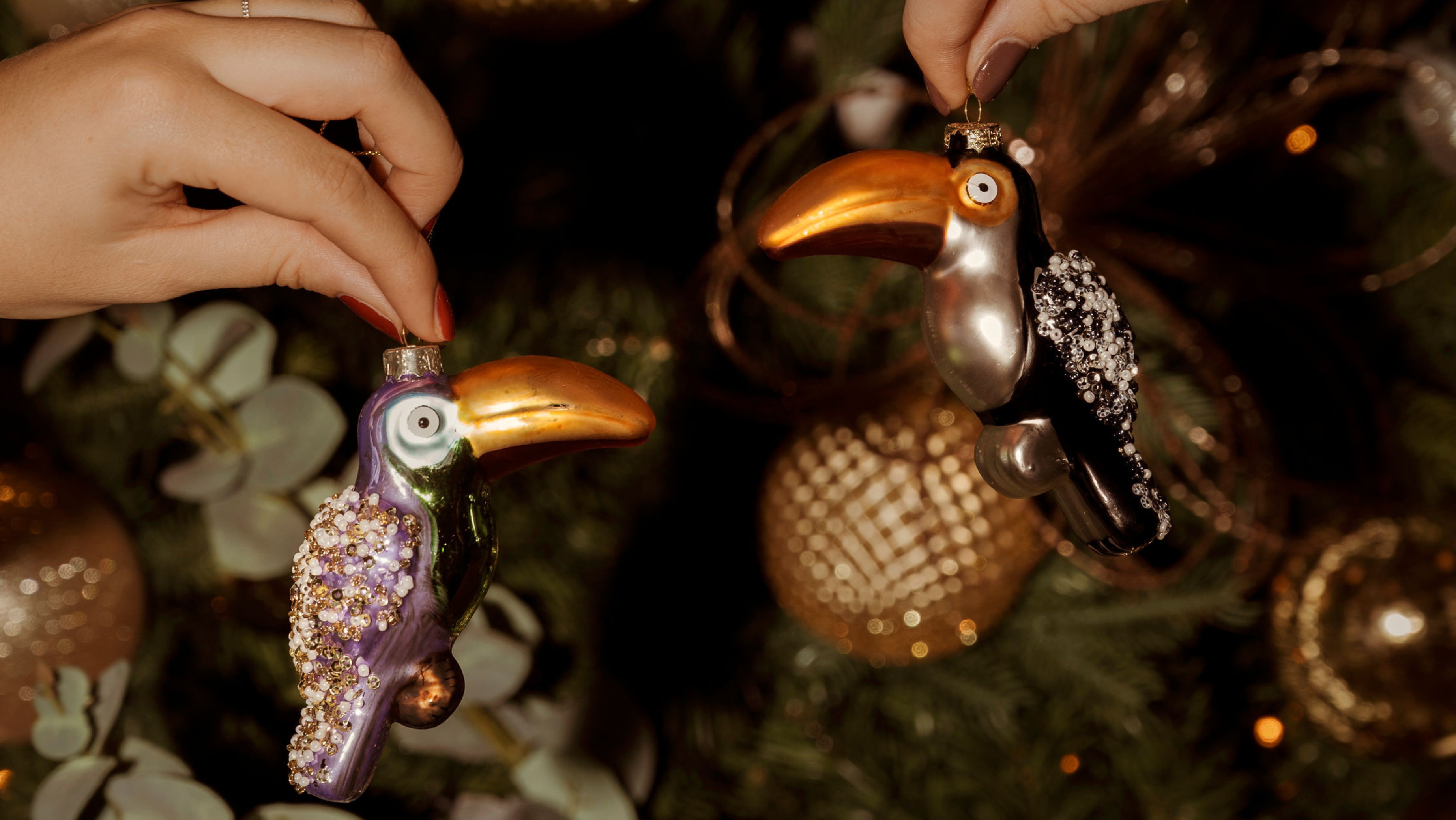 Celebrate Christmas with us!