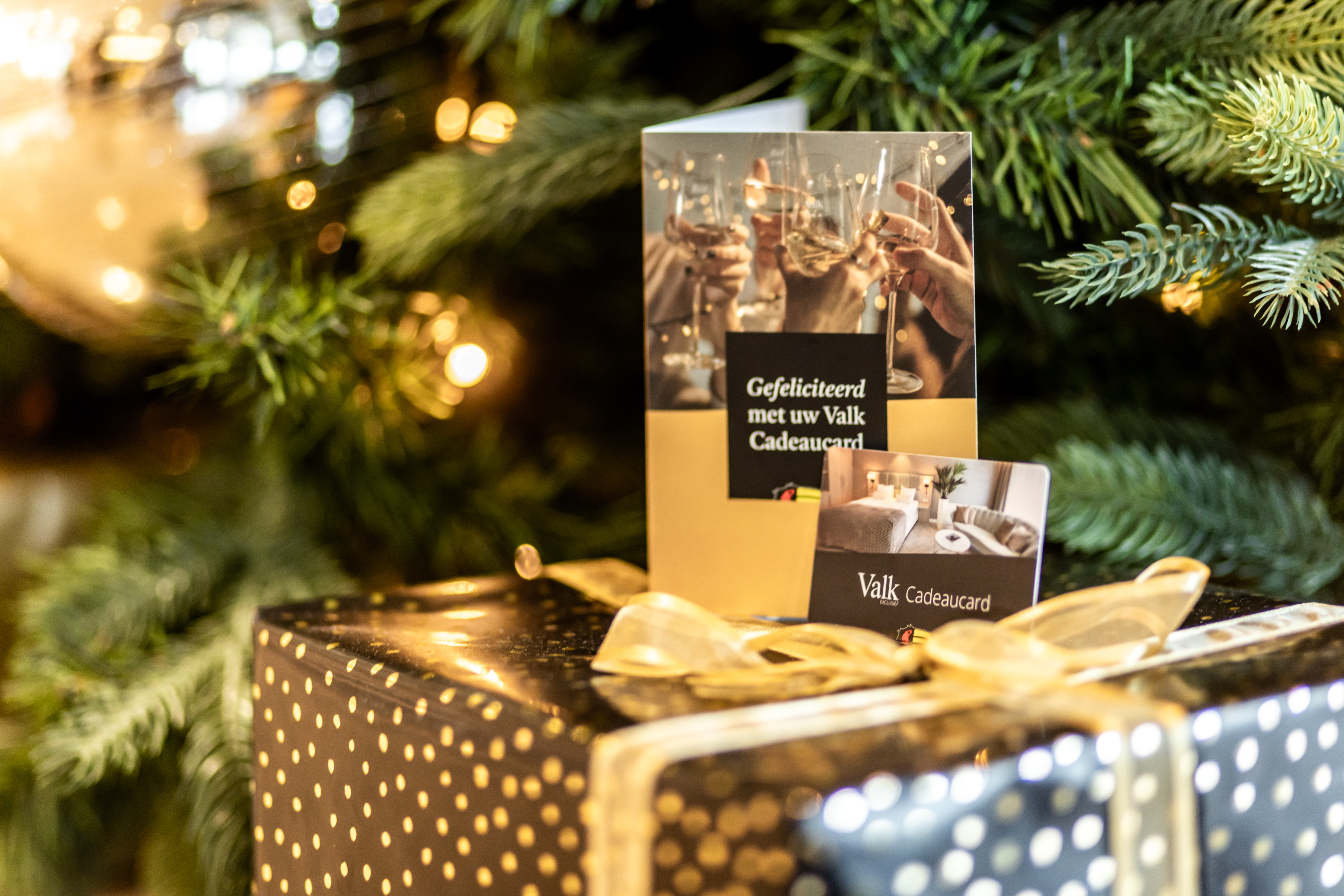 Het ultieme kerstcadeau