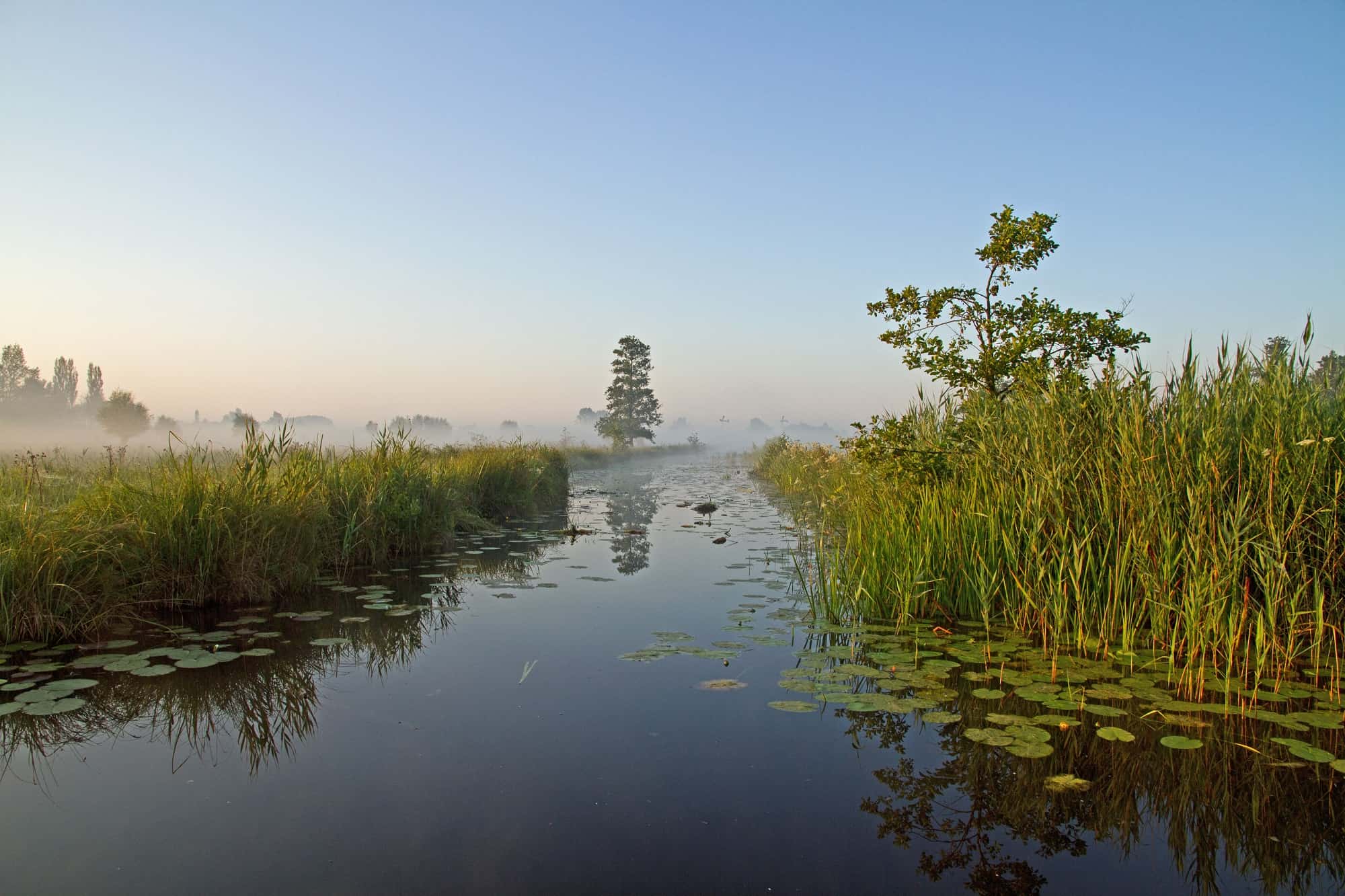 Nationaal Park Weerribben-Wieden