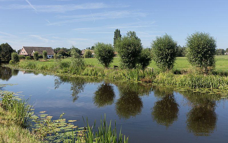 Avifauna & het Groene Hart