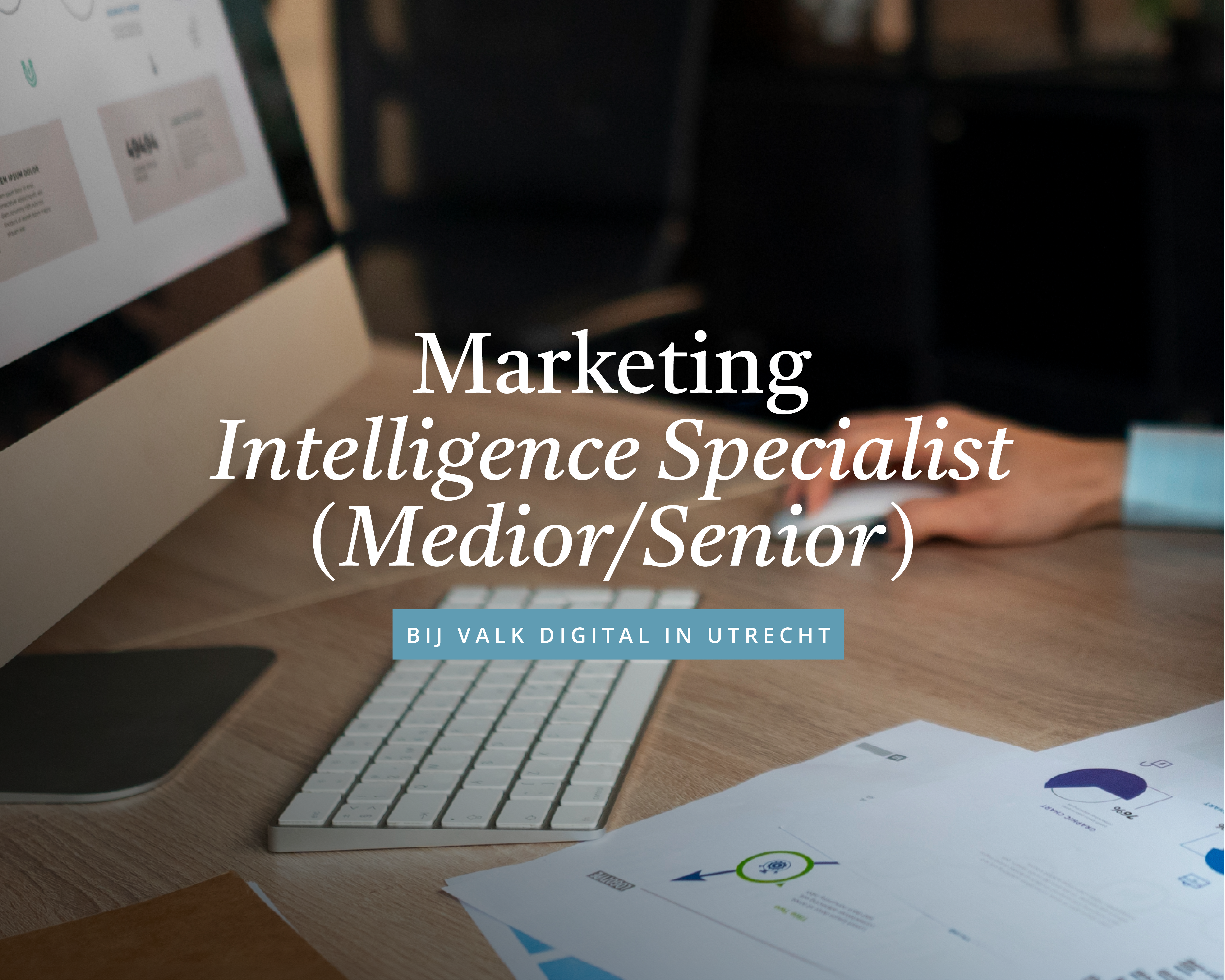 Marketing Intelligence Specialist (Medior/Senior)