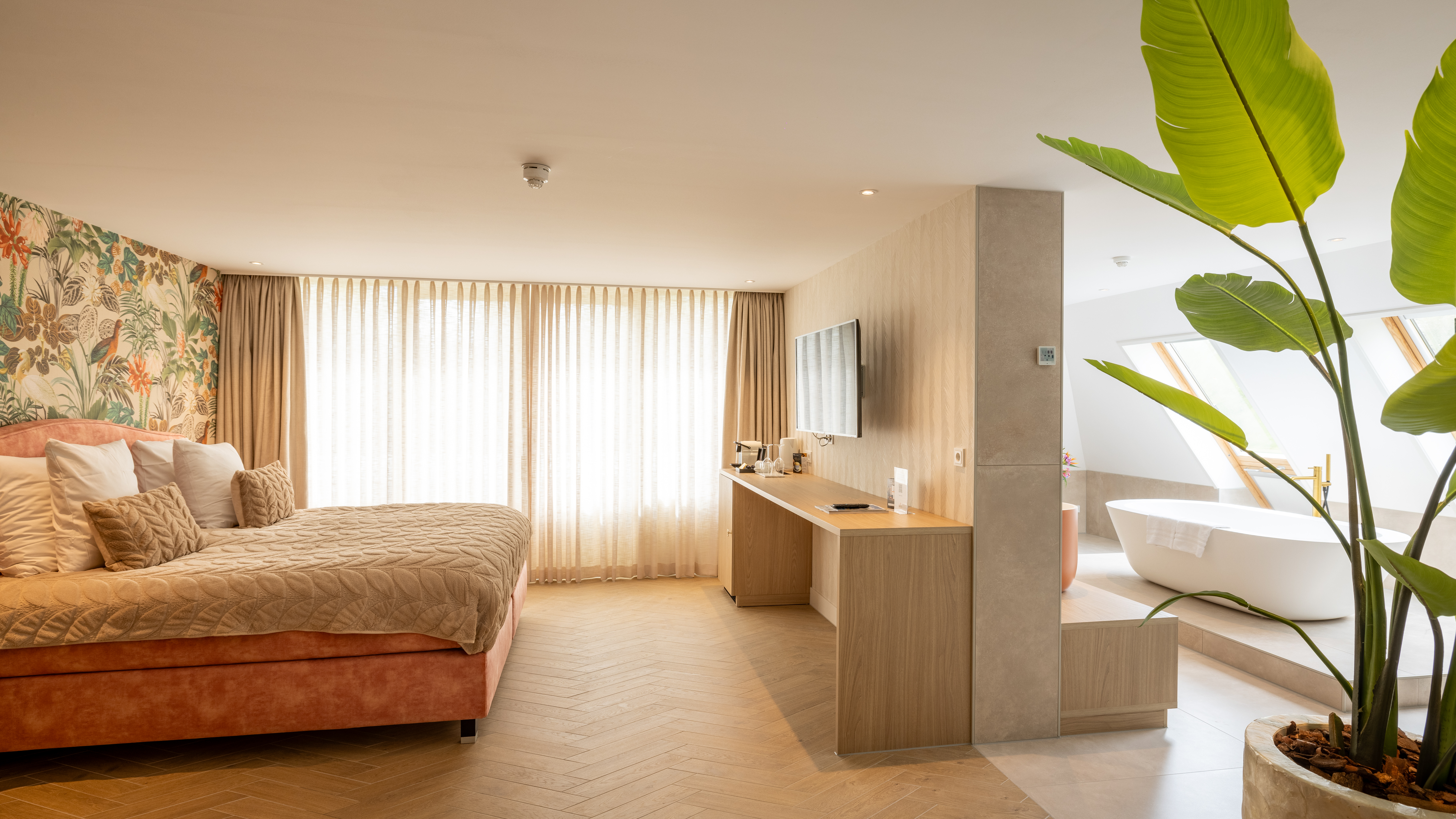 Suite Dream arrangement