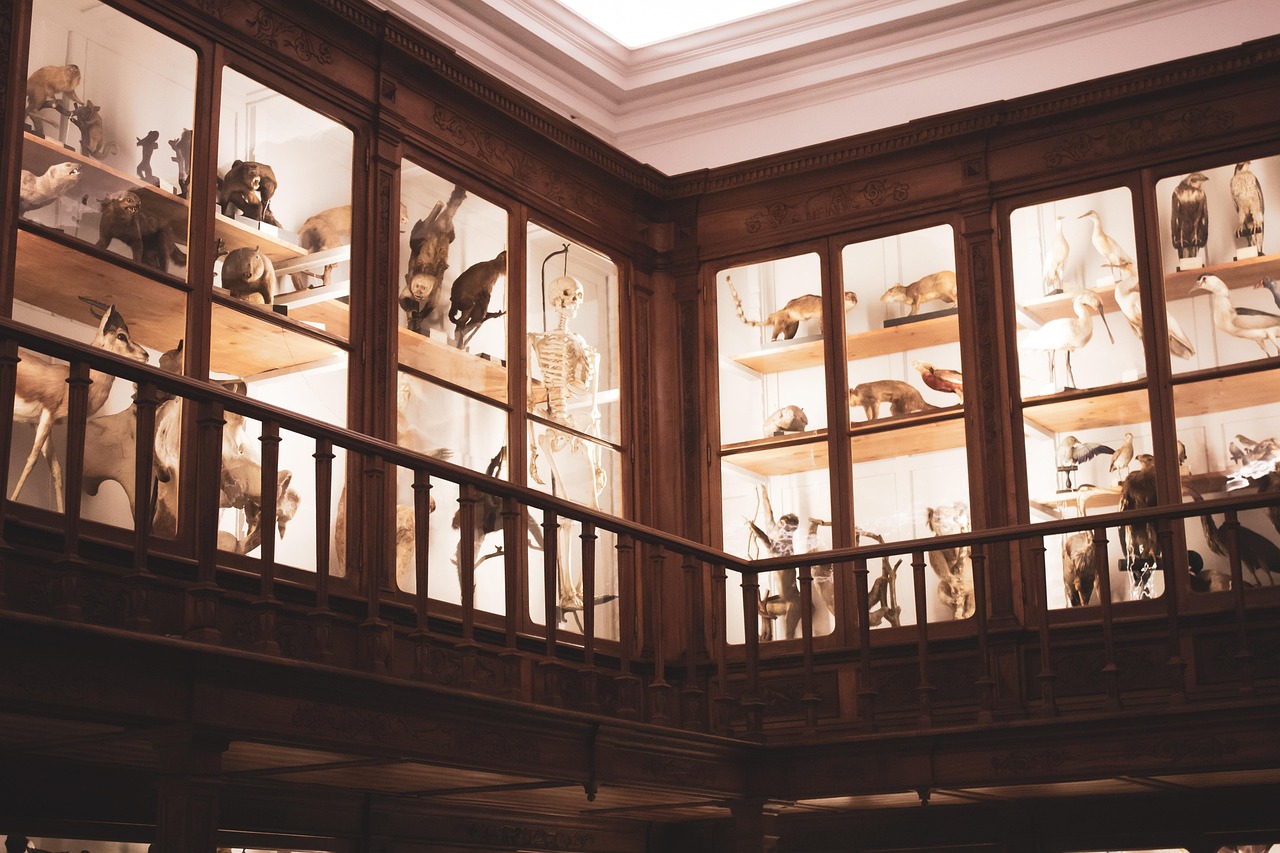 5. Ervaar het Universiteitsmuseum Groningen