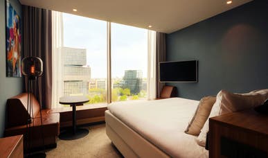 Comfort King Comfort King