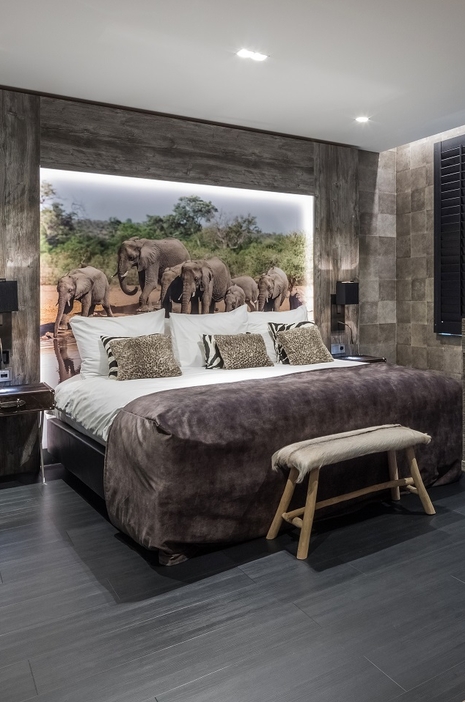 Safari suite