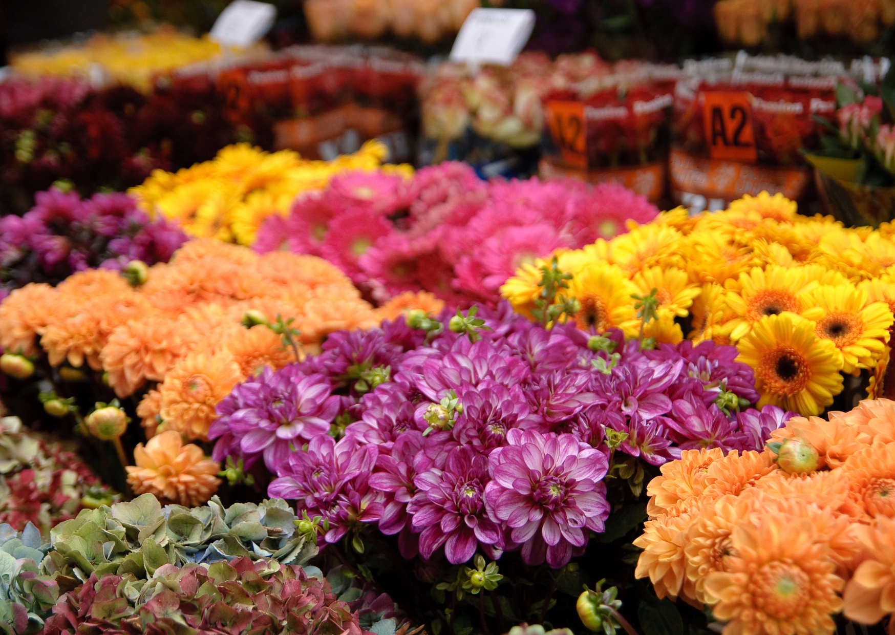 10. Bloemenmarkt