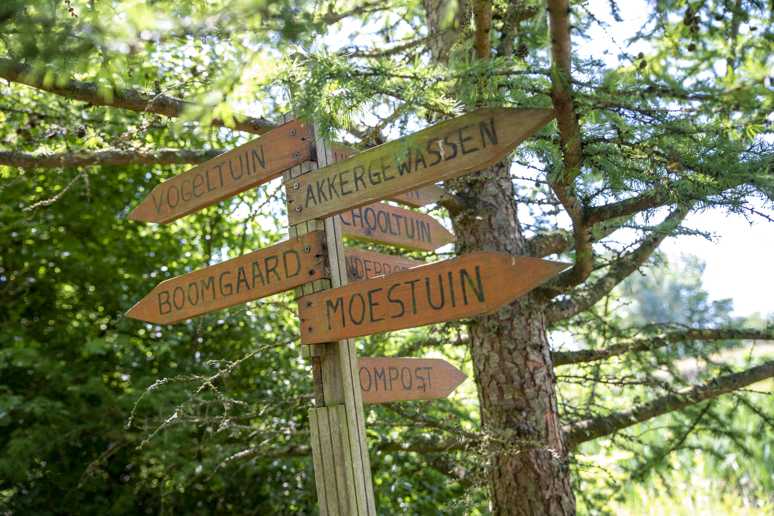 Kinderboerderij NME, Hoogezand