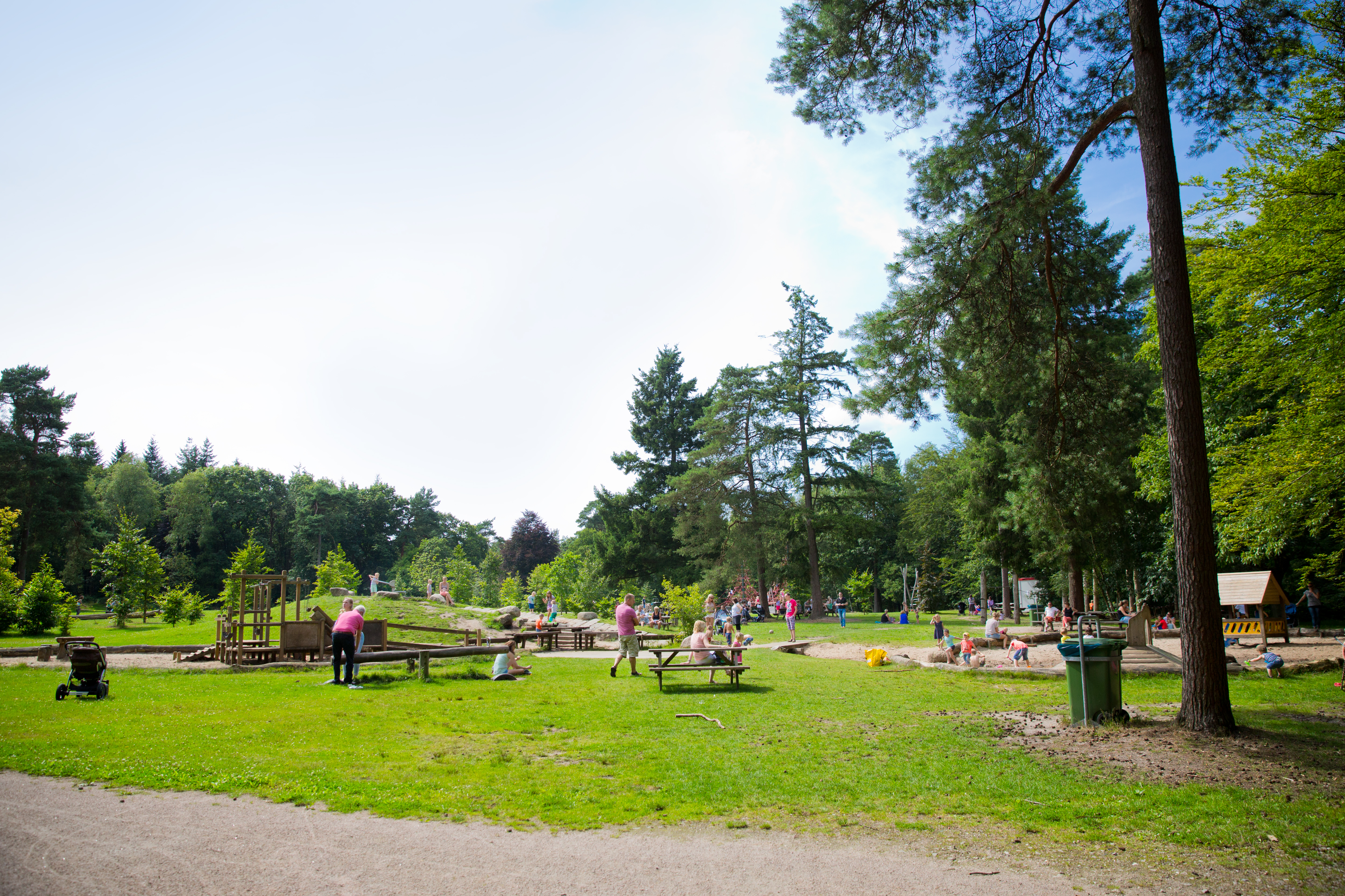 Stadspark berg en bos