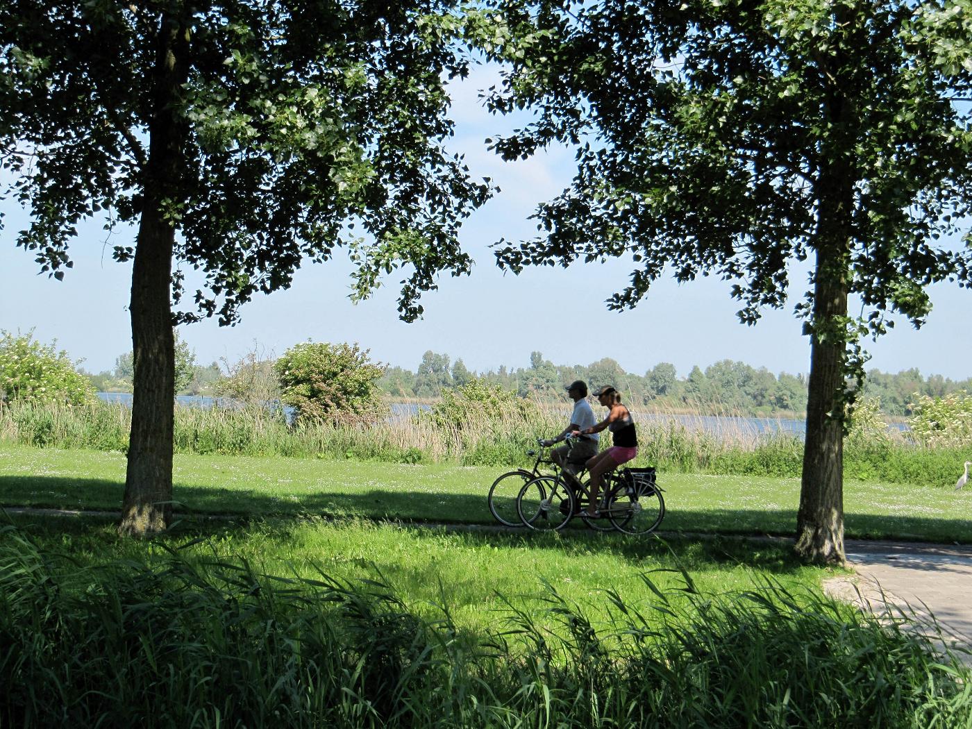Fietsen en natuur in Flevoland