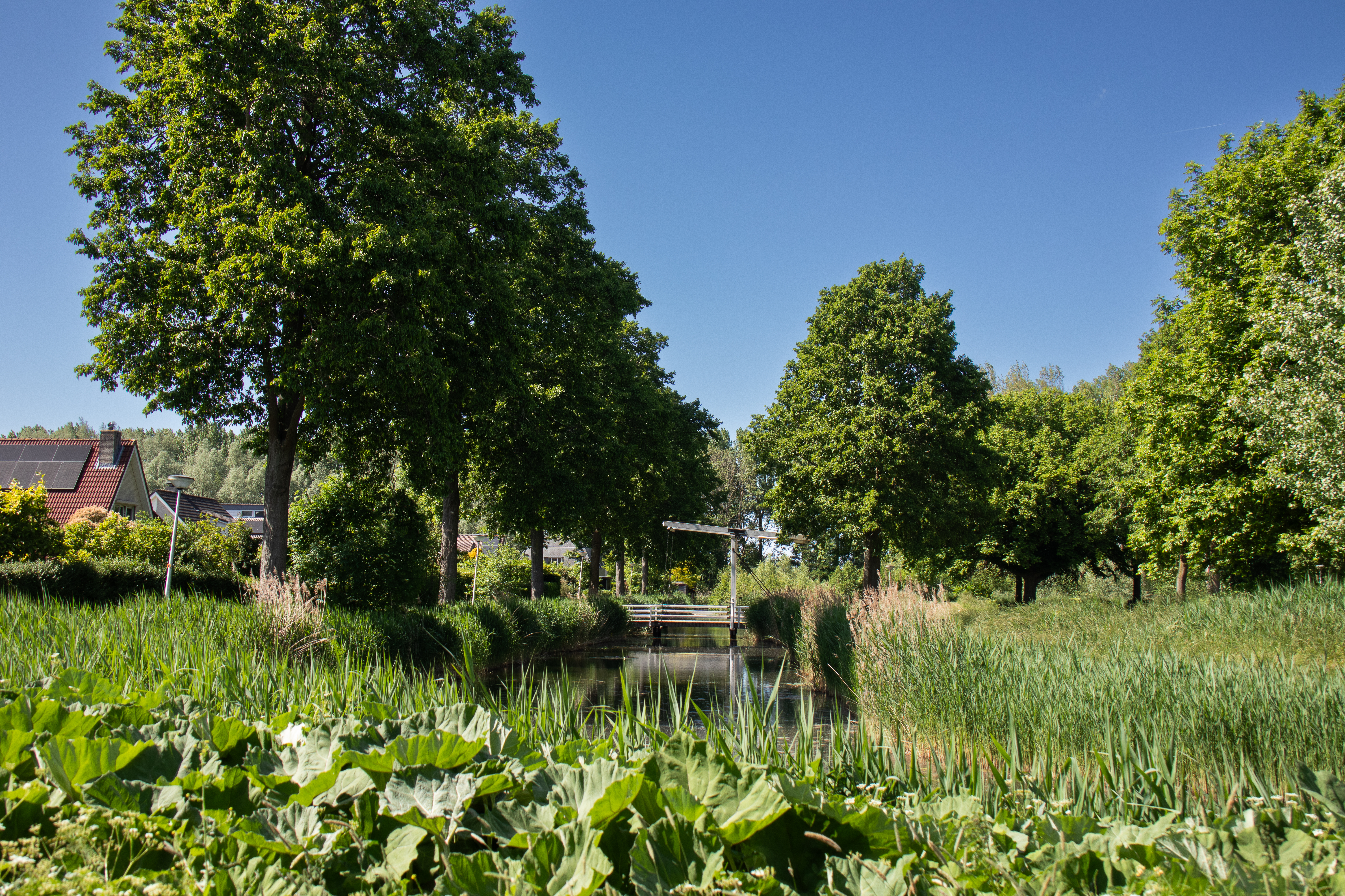 Nature and recreational areas