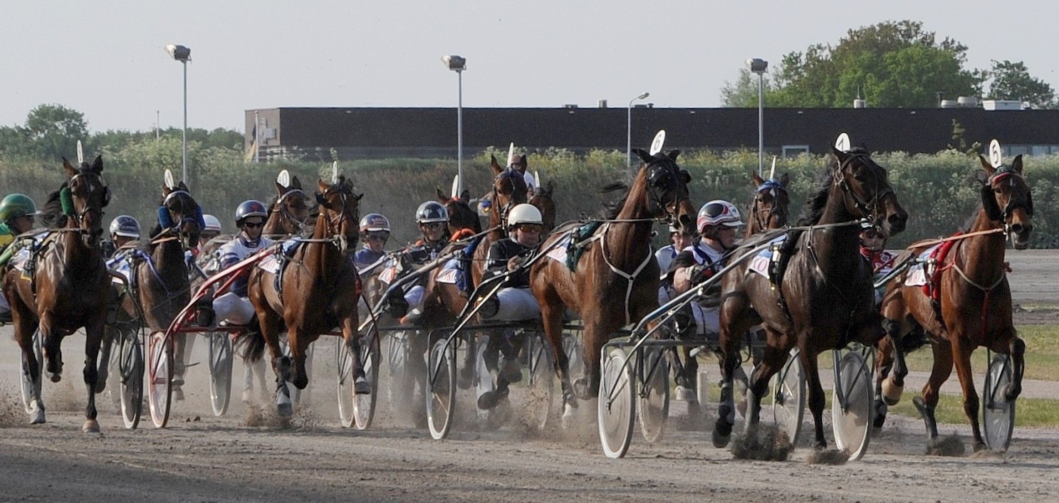 Drafbaan Vicotoria Park