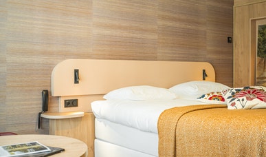 Komfort-Dachzimmer (ohne Balkon/Terrasse) Komfort-Dachzimmer (ohne Balkon/Terrasse)