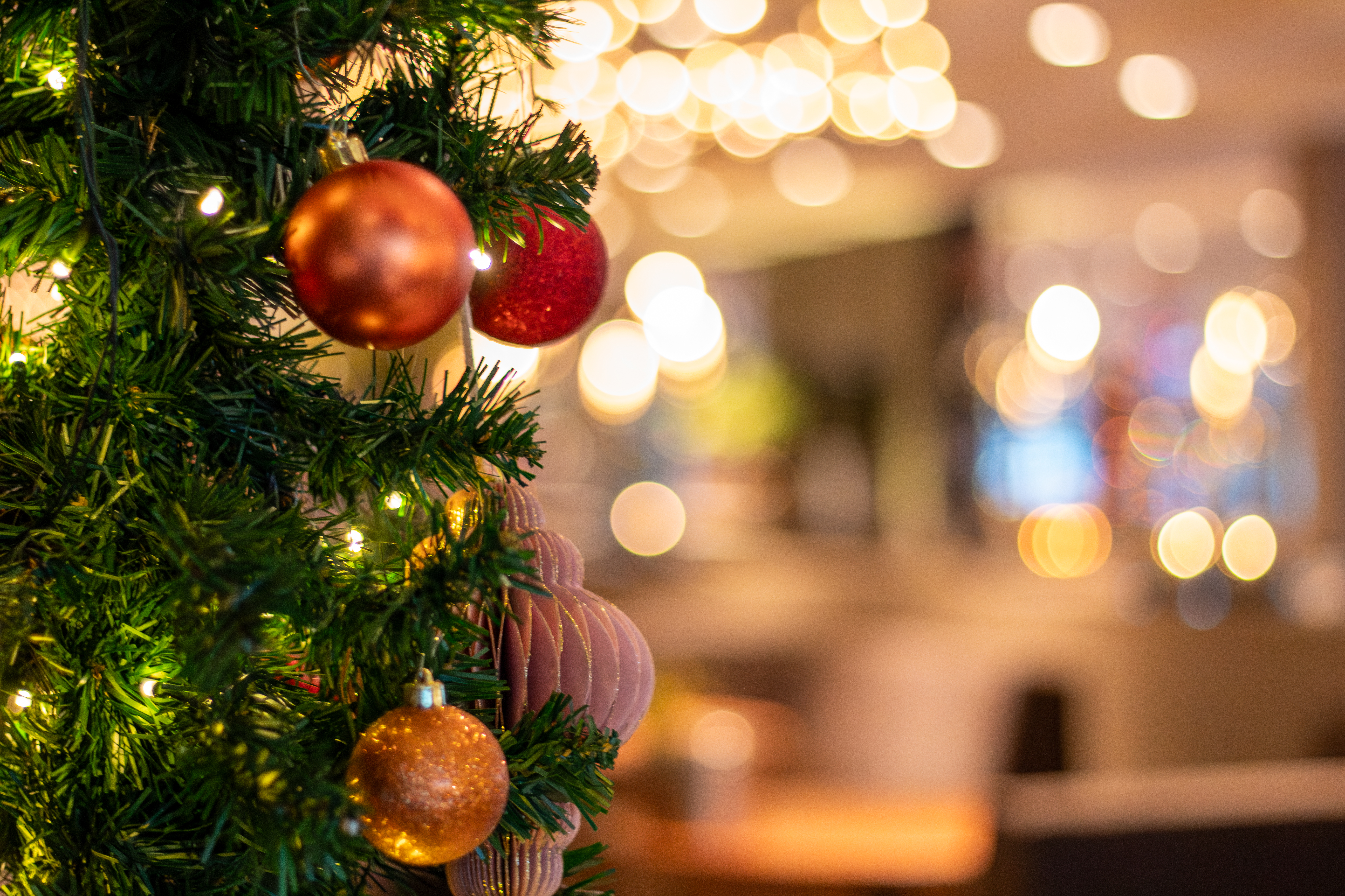 Hotel Vianen-Utrecht - Kerstvakantie arrangement