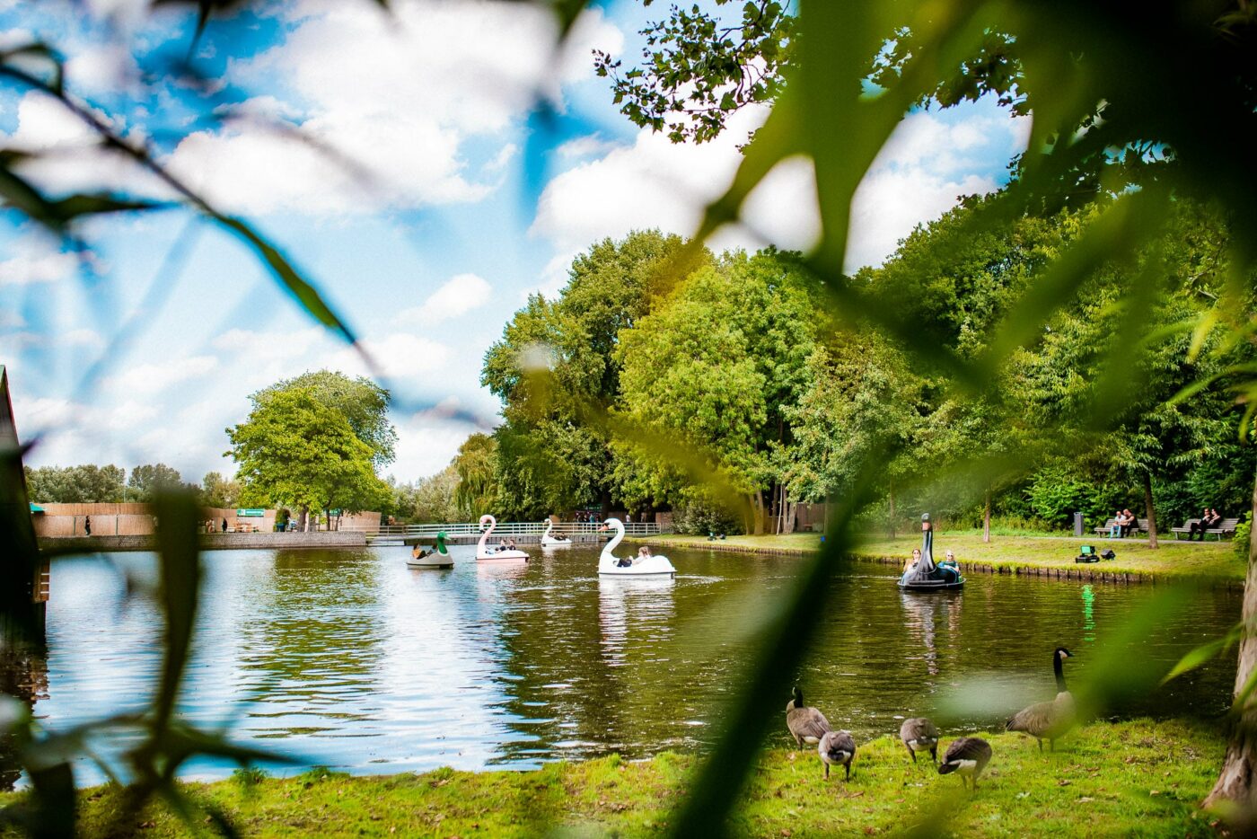 Wandelen en hardlopen