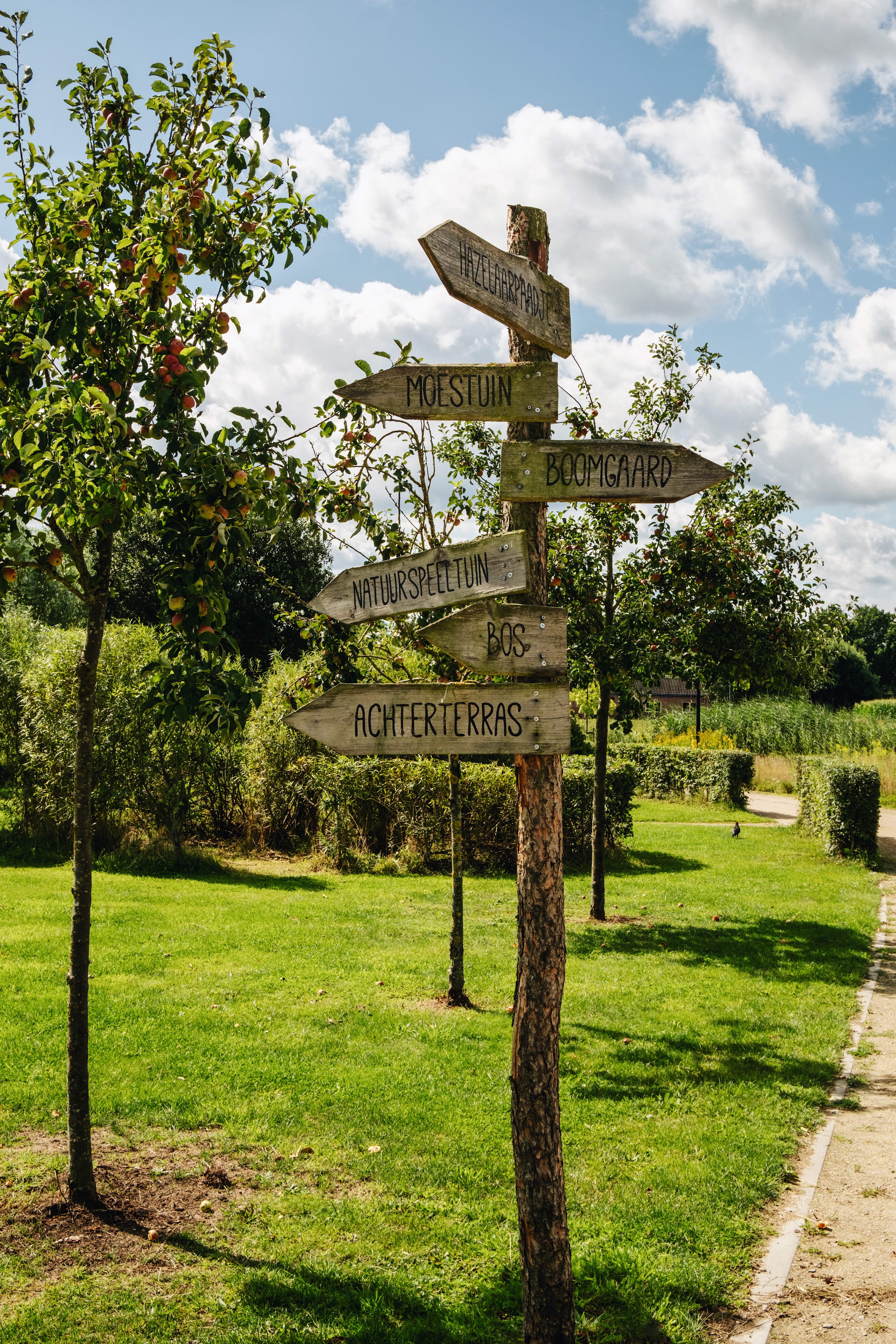 Apeldoorn en omgeving