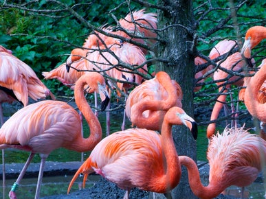 Vogelpark