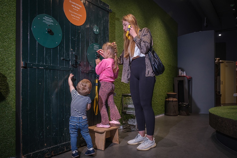 Gouda Cheese Experience