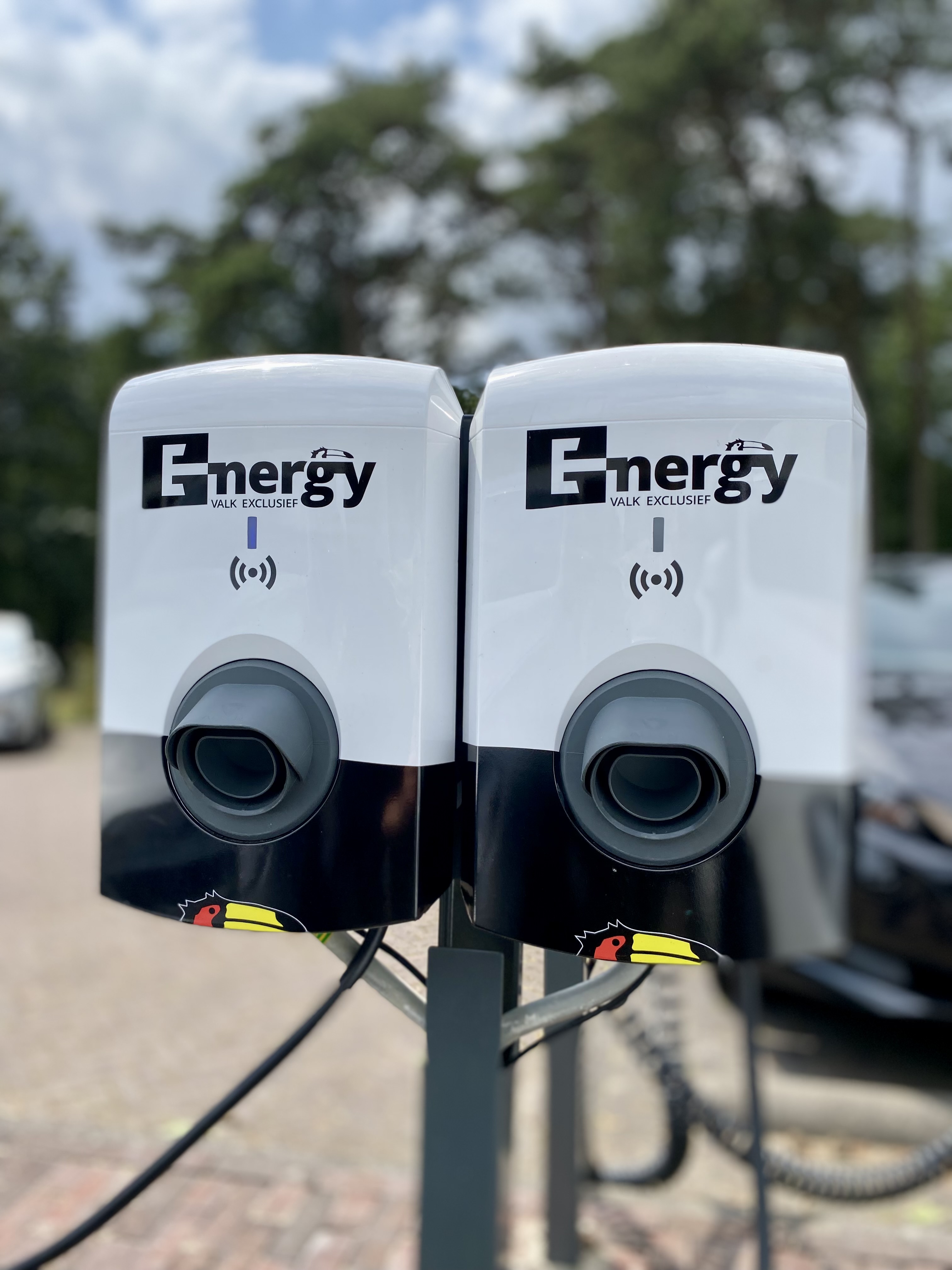 Elektrisch laden