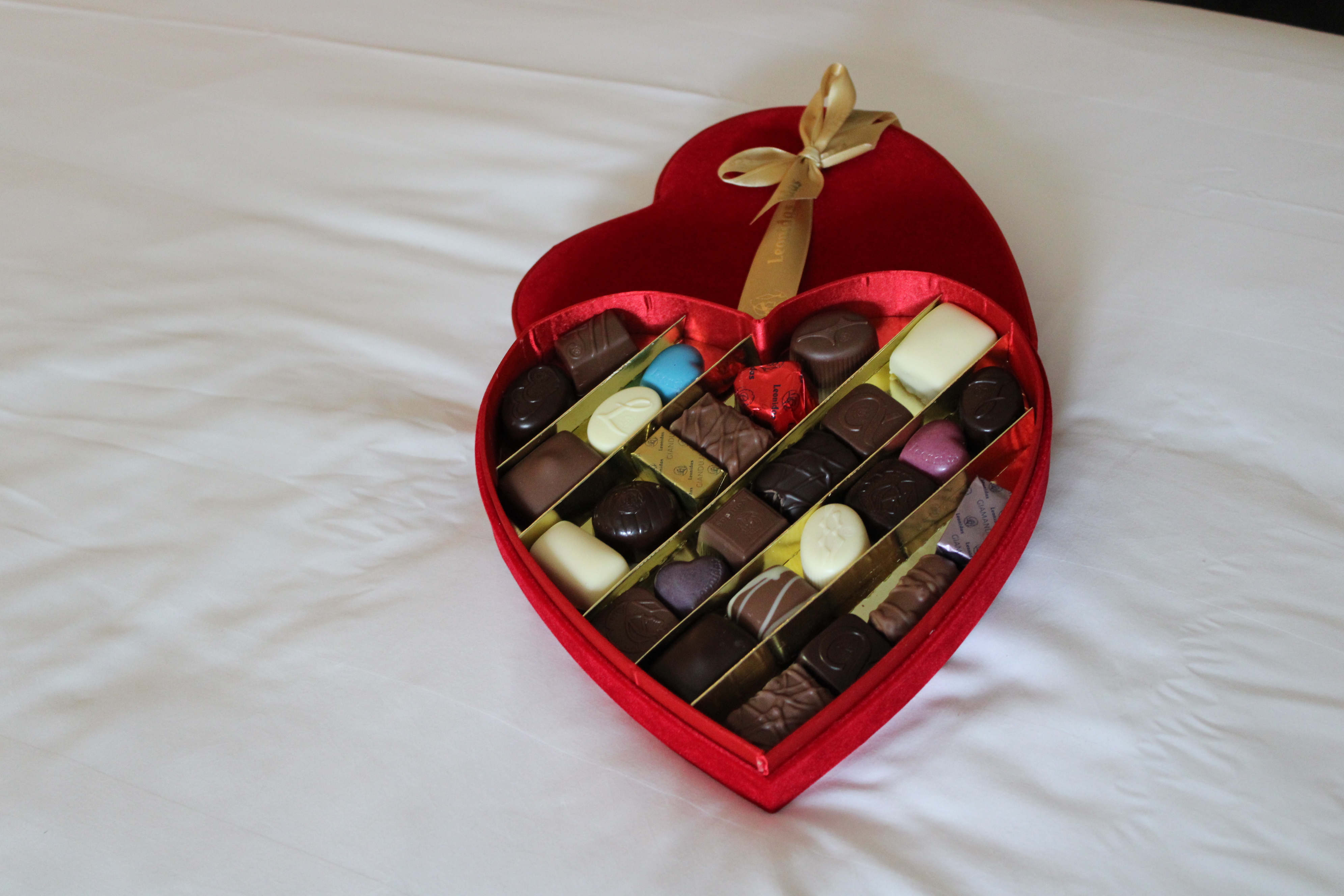 Bijzondere gelegenheid