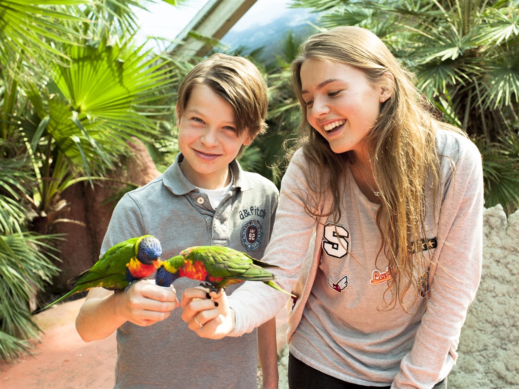 Van der Valk Hotel Avifauna