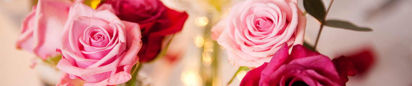 Vier de liefde bij Hotel Leiden!