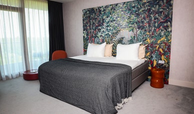 Comfort Plus King Kamer Comfort Plus King Kamer