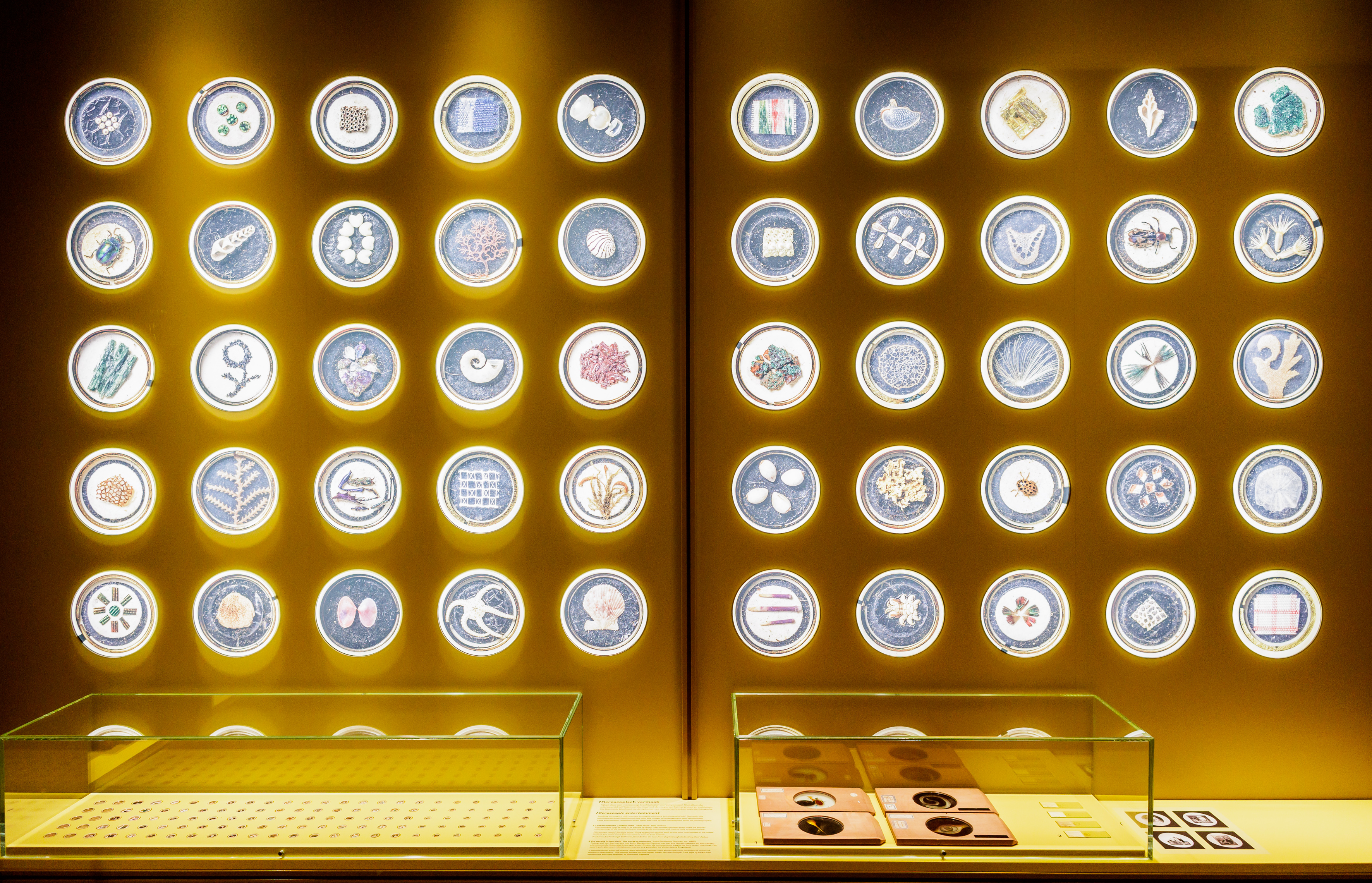 Rijksmuseum Boerhaave