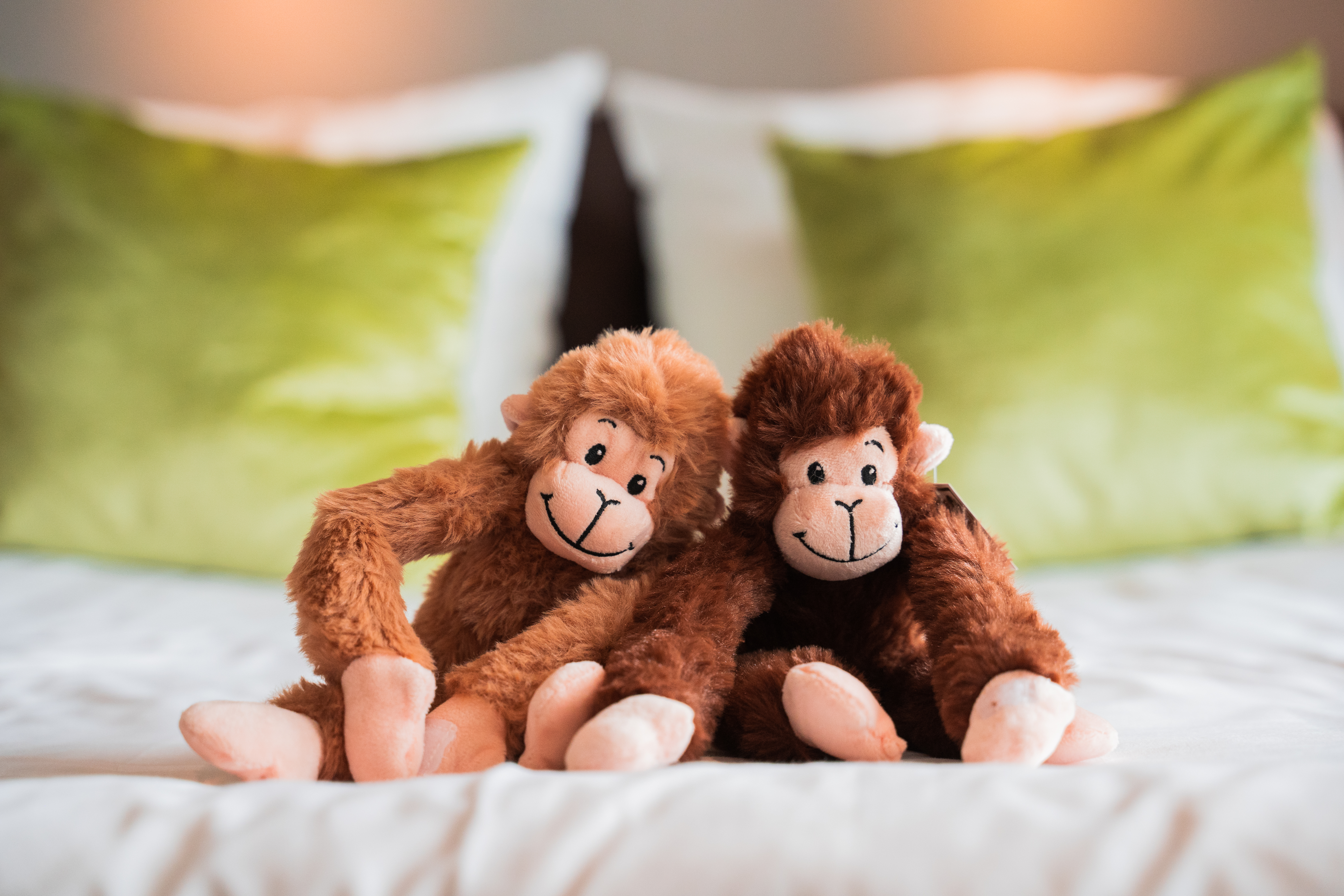 Hotel Harderwijk op de Veluwe