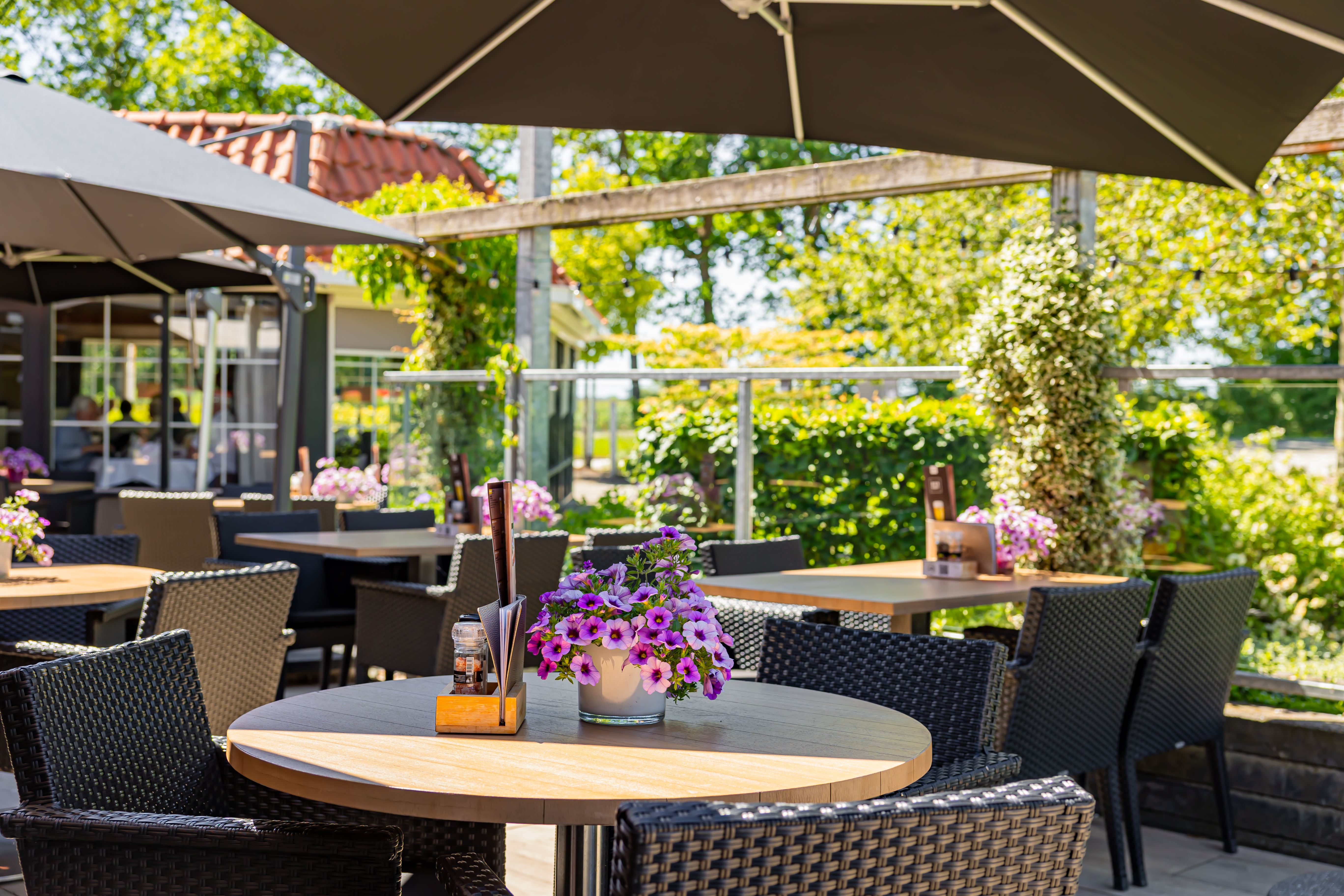 Terras