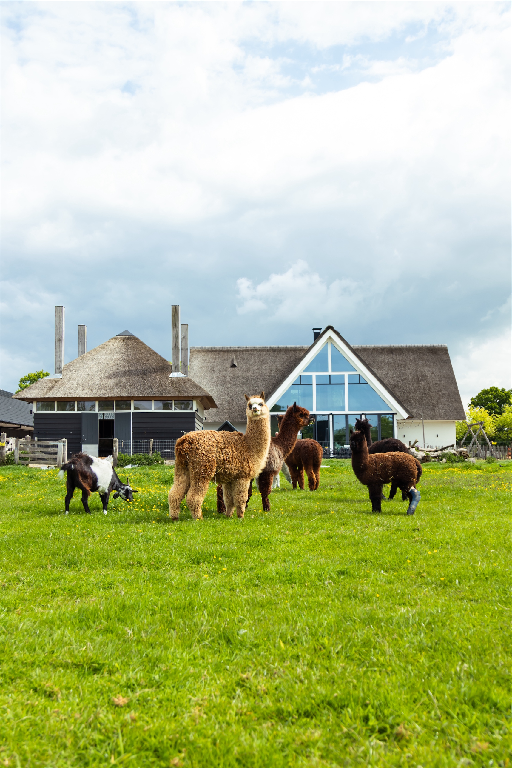 Allround Medewerker Boerderij (24 uur)