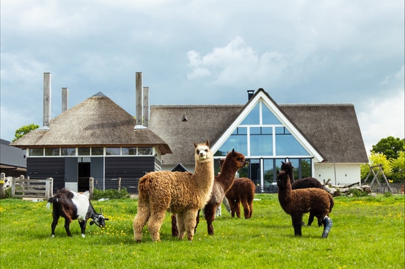Allround Medewerker Boerderij (24 uur) Allround Medewerker Boerderij (24 uur)