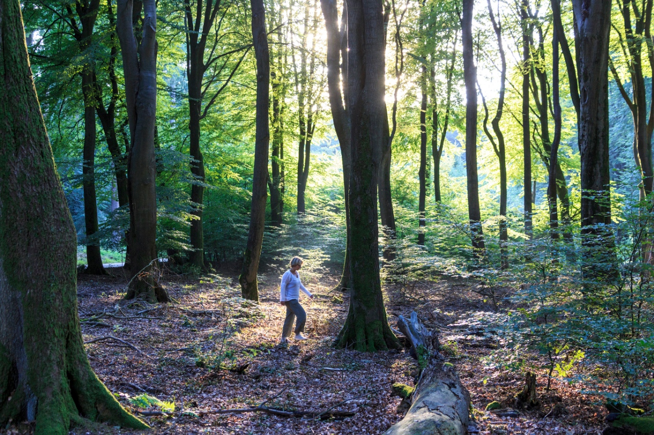 Parken in de omgeving