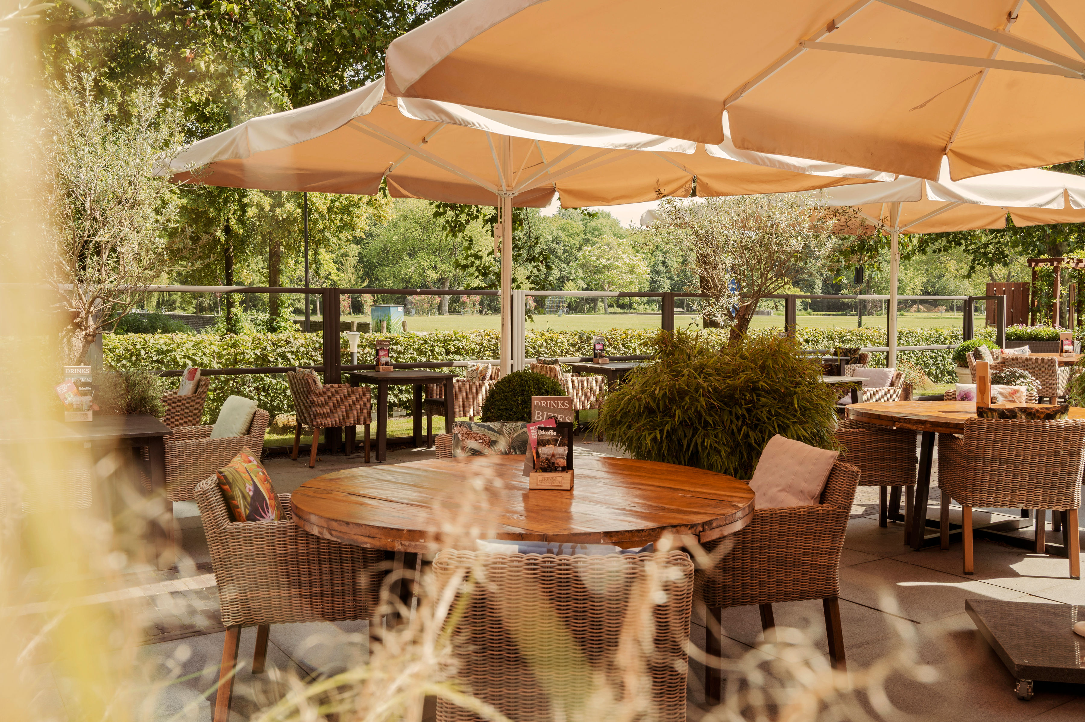 Ontdek ons heerlijke groene terras