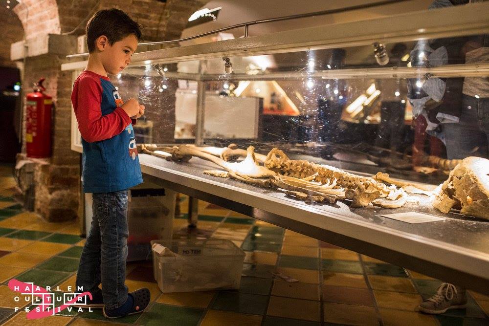 Archeologisch Museum Haarlem