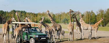 Safaripark Beekse Bergen Safaripark Beekse Bergen