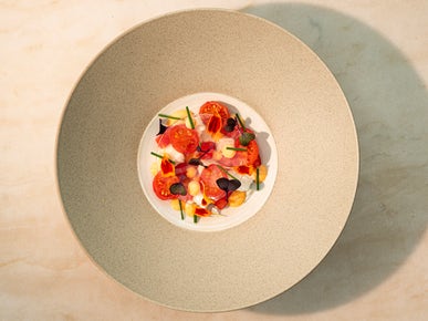 Plate service Plate service