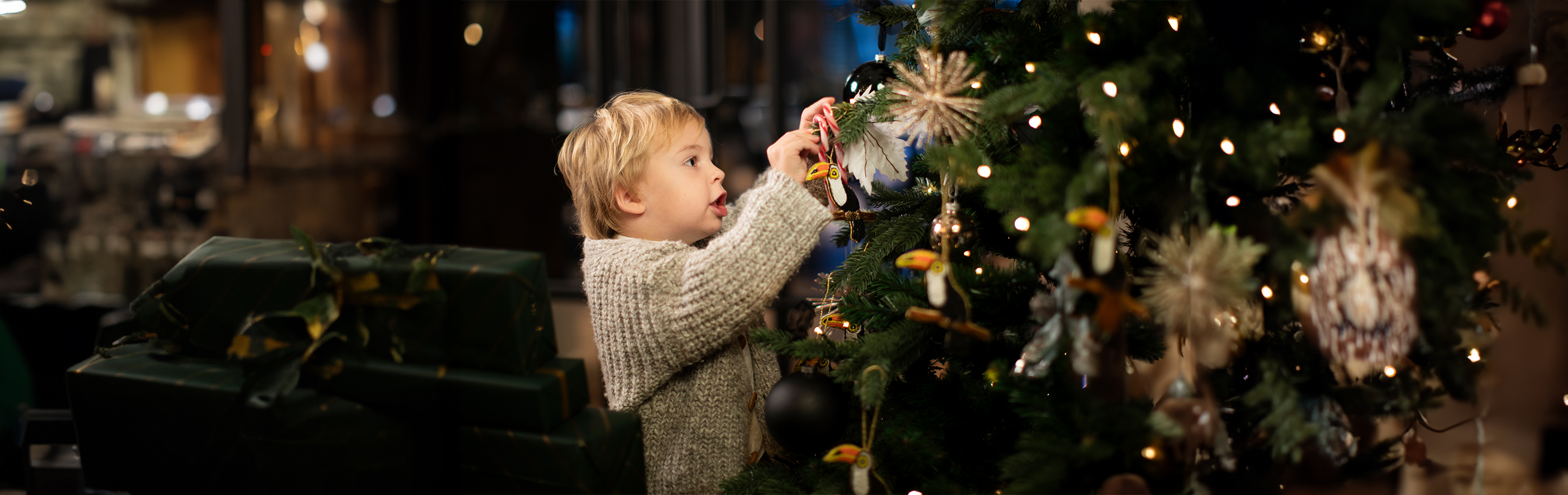 Luxury Christmas buffet