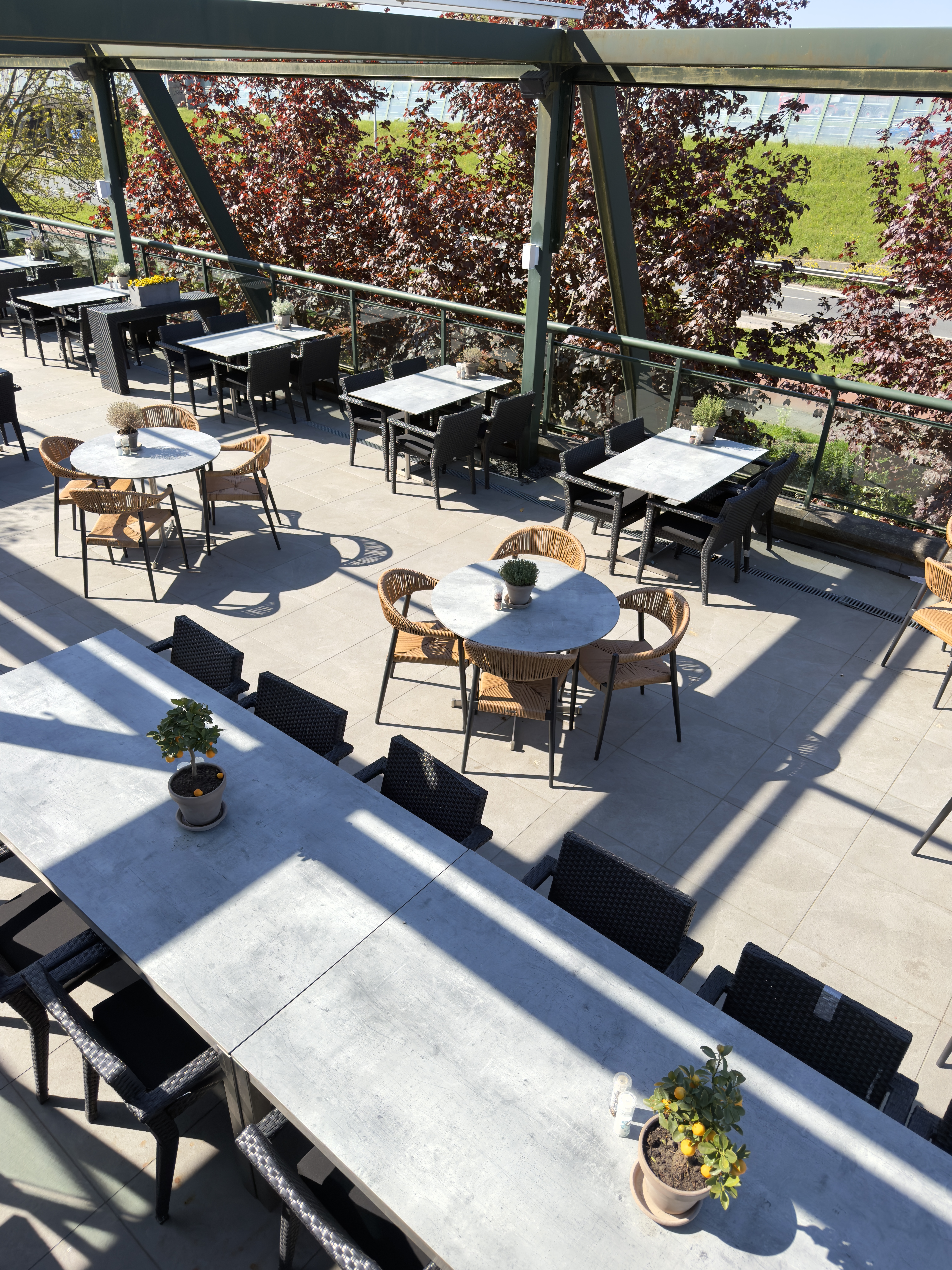 Terras