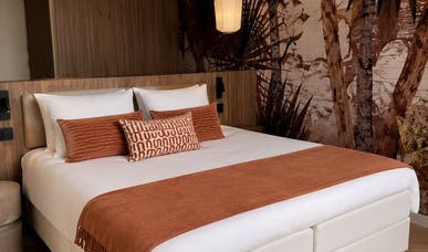 Amazona Suite Amazona Suite