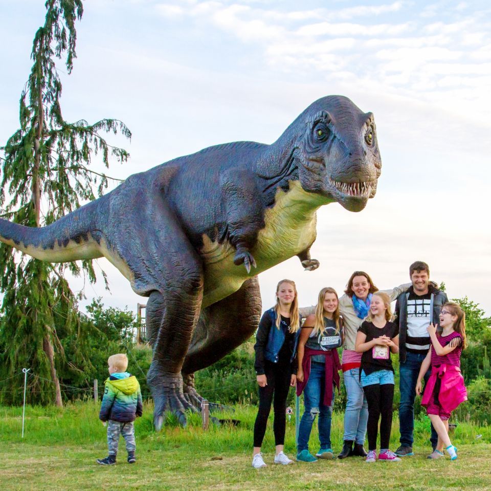 Dinopark Tenaxx, Wedde