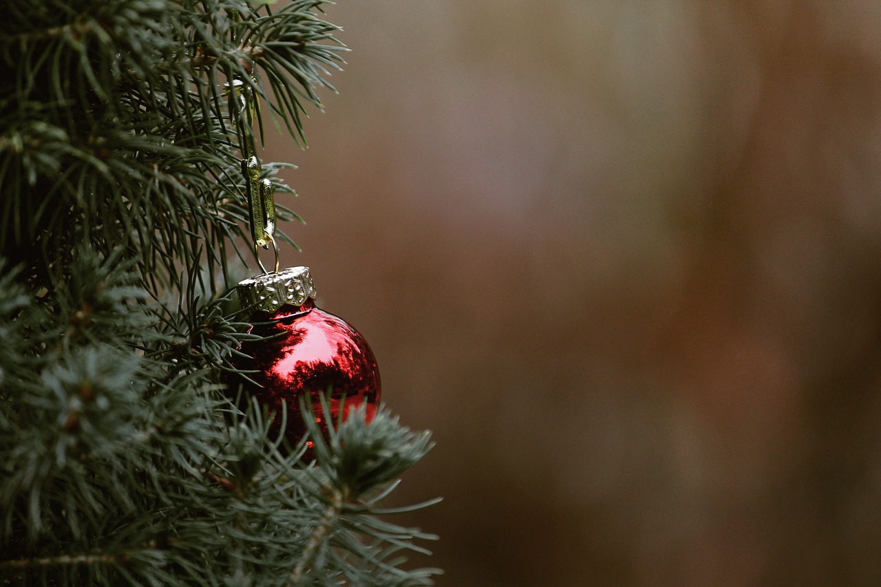 Kerstactiviteiten