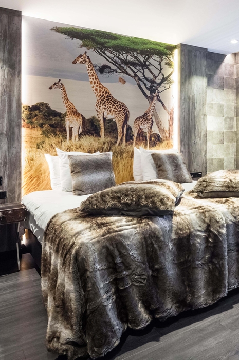 Safari suite